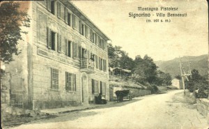 signorino il ristorante