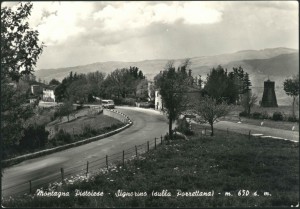 signorino panoramica